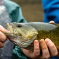 The Ultimate Guide to Fishing in Calvert County, MD