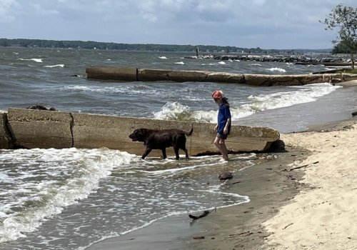The Ultimate Guide to the Pet Policy at Boatyards in Calvert County, MD