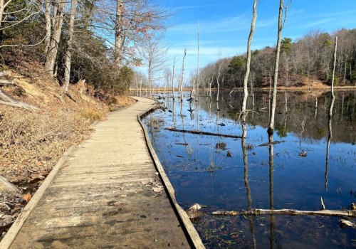Maximizing Savings and Enjoyment at Boatyards in Calvert County, MD